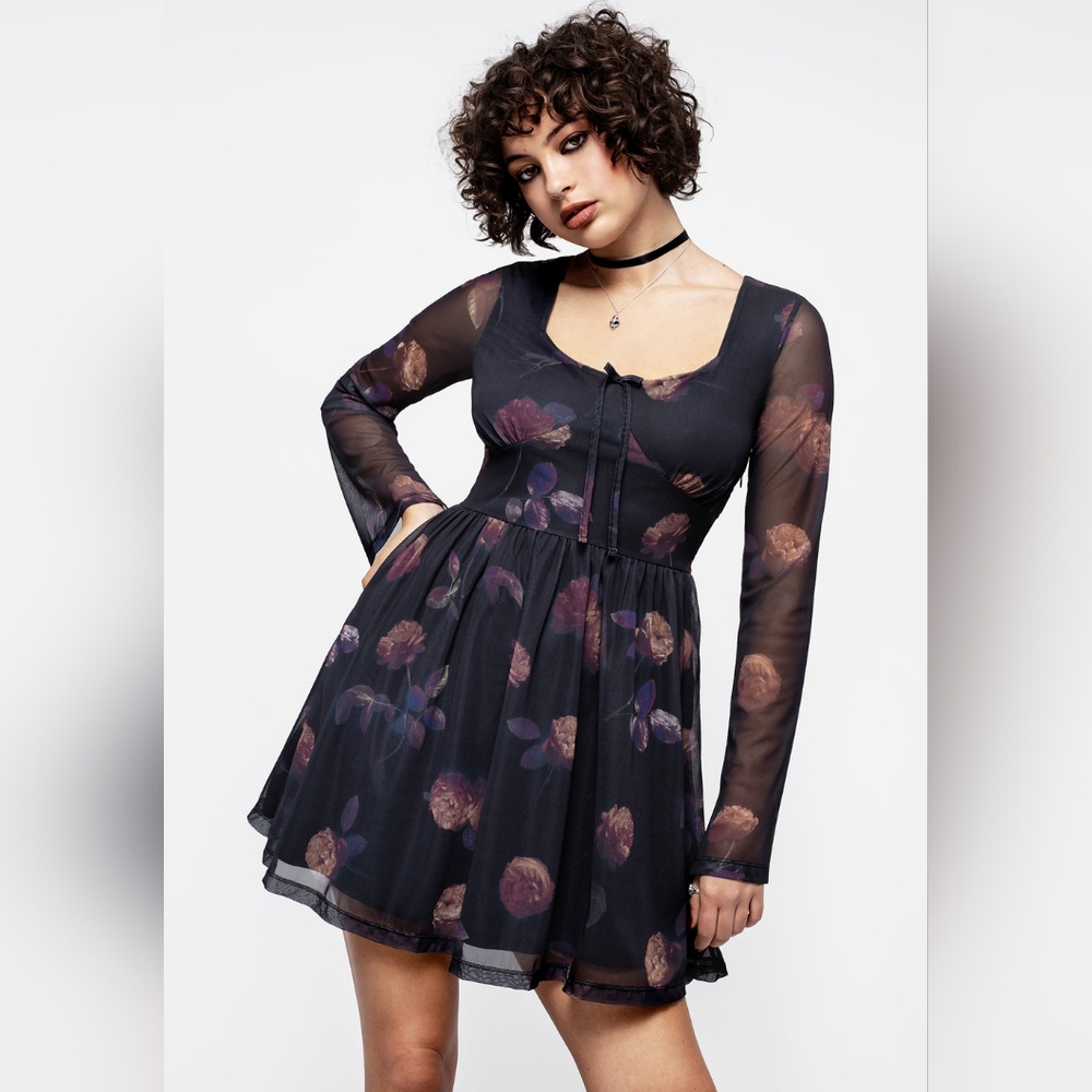 Disturbia Monica Floral Mesh Dress